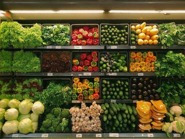 生鲜电商是指通过互联网直接销售新鲜水果,蔬菜,肉类等产品的电子商务
