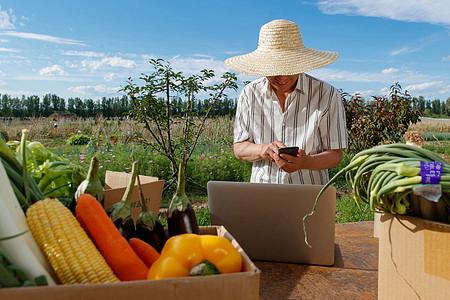 照片  |农民在线直播销售农产品插画  |互联网农业互联网 农业照片